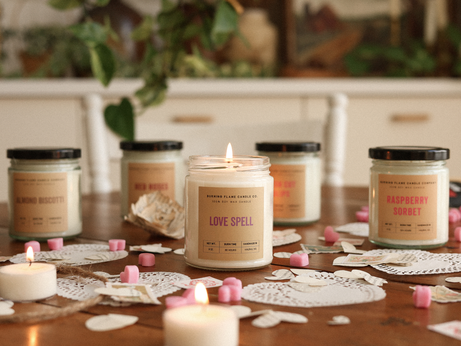 The February Edit 🌹